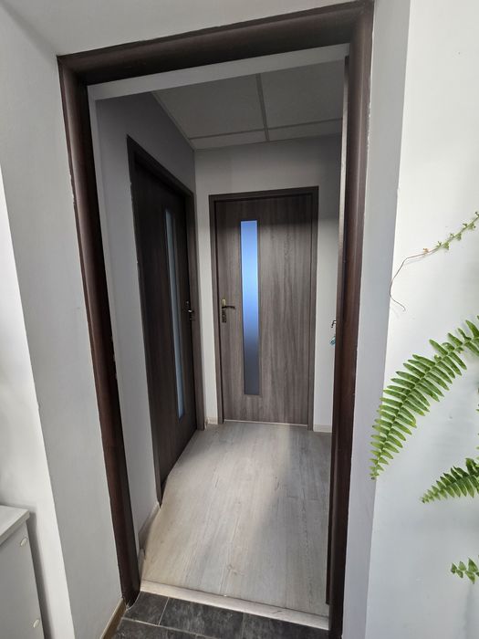 2 pokojowe biuro+sekretariat ul. Przewóz