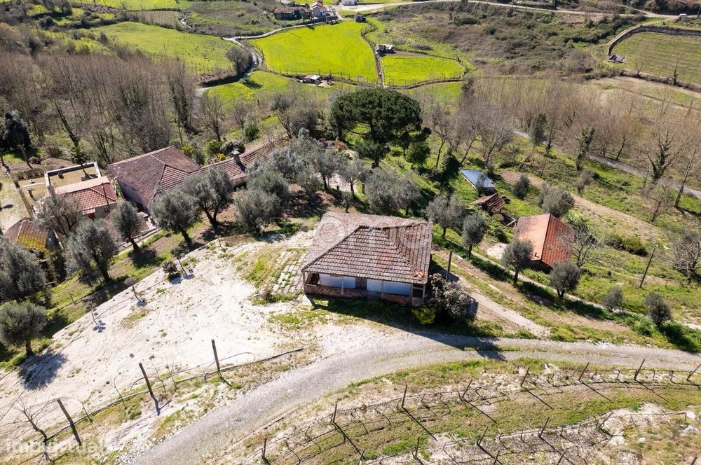 Quinta com vinha e árvores de fruto | Projeto ideal para turismo ru...