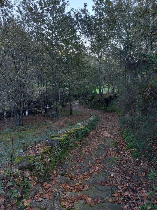 Terreno/Quinta de Lazer com 2.580 m² junto à Ribeira de Juncal | Soalhães