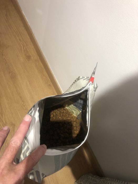 Ração para cães Labrador Retriver