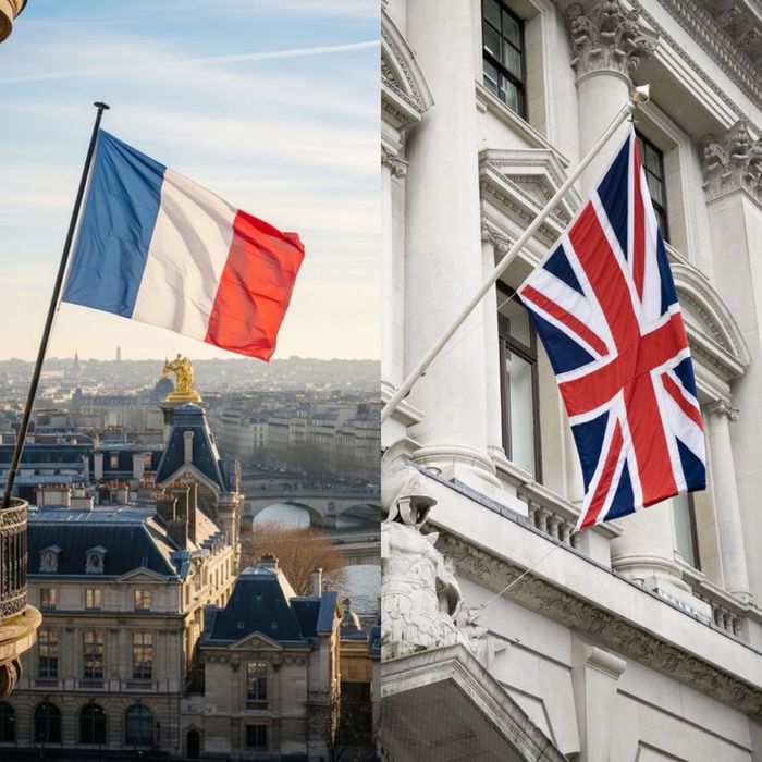 Explicações de Francês e Inglês
