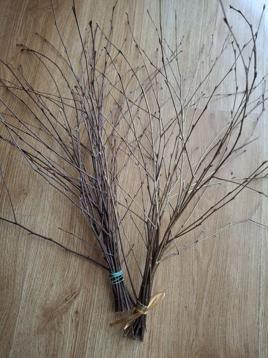 Rózga, gałązka brzozowa, dekoracja, ozdoba,