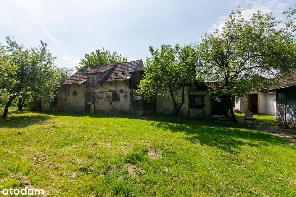 Zdjęcie 5