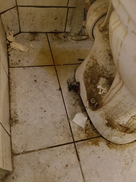 Sprzątanie po eksmisjach , trudnych lokatorach, po ludziach z problemem alkoholowym,zbieractwo