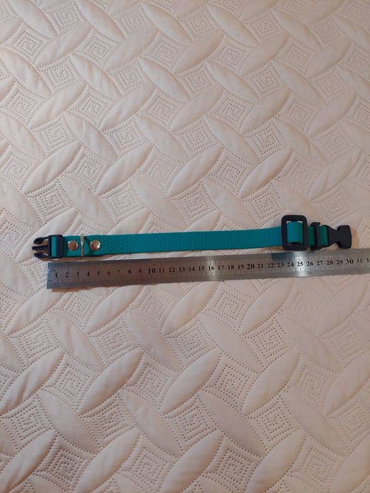 Ошийник з повідцем