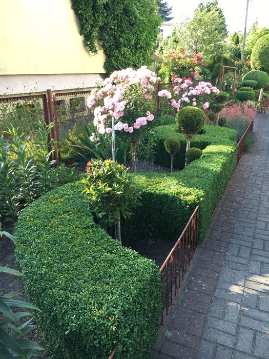 Pielęgnacja ogrodu, usługi ogrodnicze- atrakcyjne ceny!!!