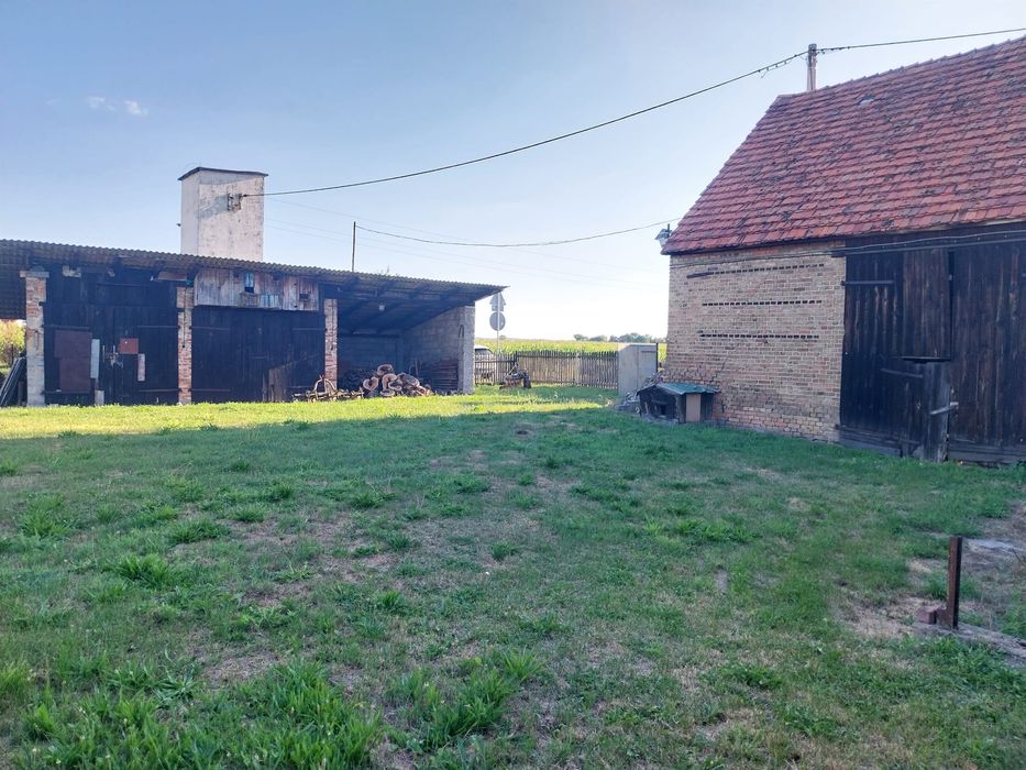 Hala Magazyn Budynki gospodarcze + 20 arów działki do wynajęcia Prusice - Widok 4