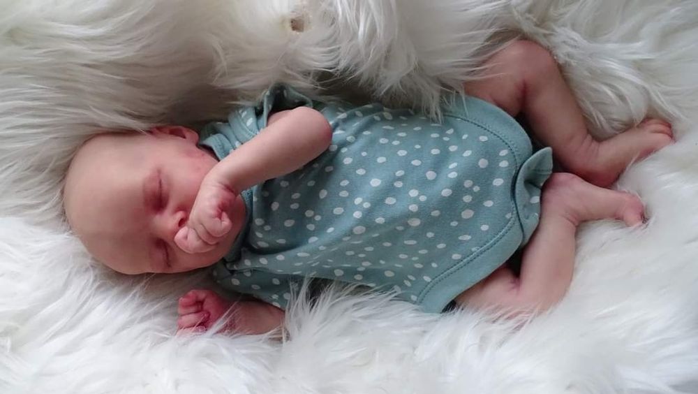 Oryginalna Lala Reborn