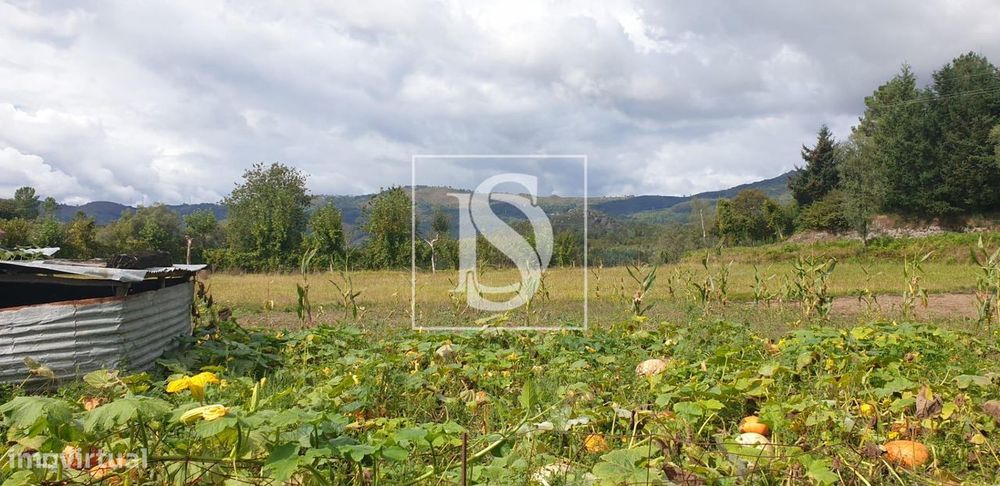 Moradia para Restaurar T3 Venda em Pinheiro,Vieira do Minho