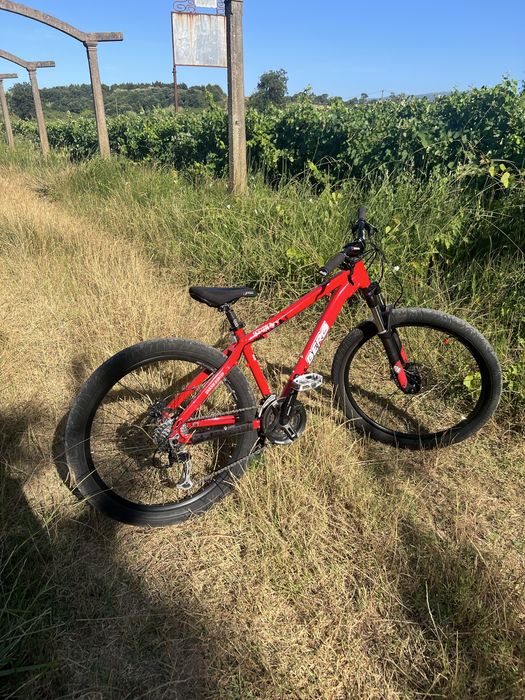 Bicicleta Berg