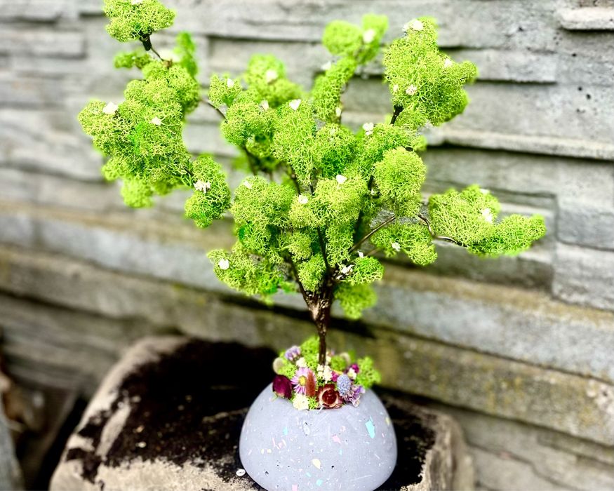 Дерево з живого моху