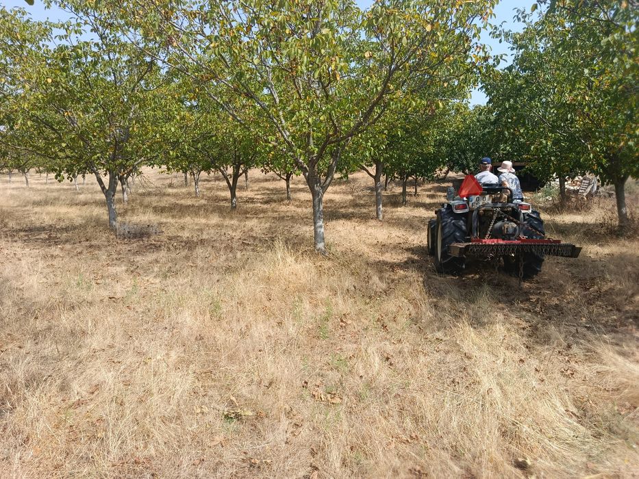 10 Hectares (100.000m2)  Terreno Agrícola Duas Igrejas Miranda do Douro, bem localizado, água e com maquinaria agrícola