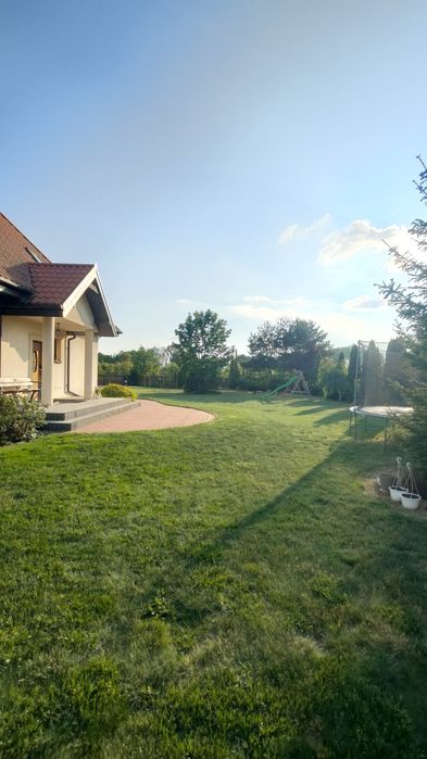 Zdjęcie 5