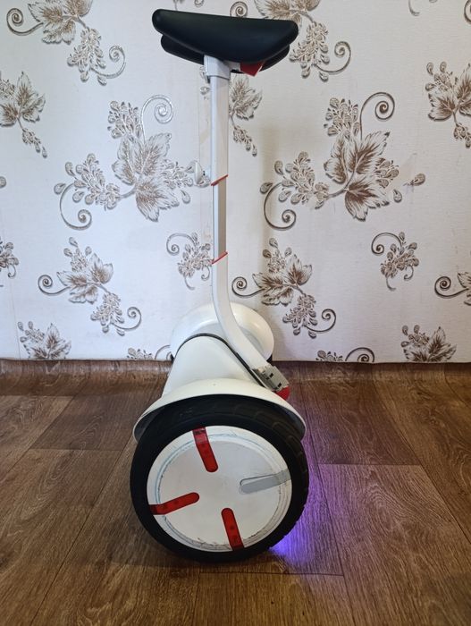 Segway Ninebot S (Mini PRO)