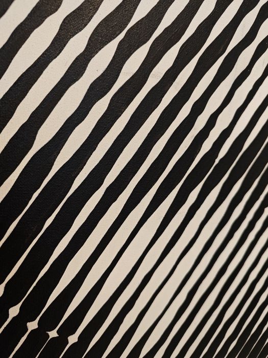 Obraz akrylowy na płótnie malowany farbami Farby Czarny Biały Duży 100