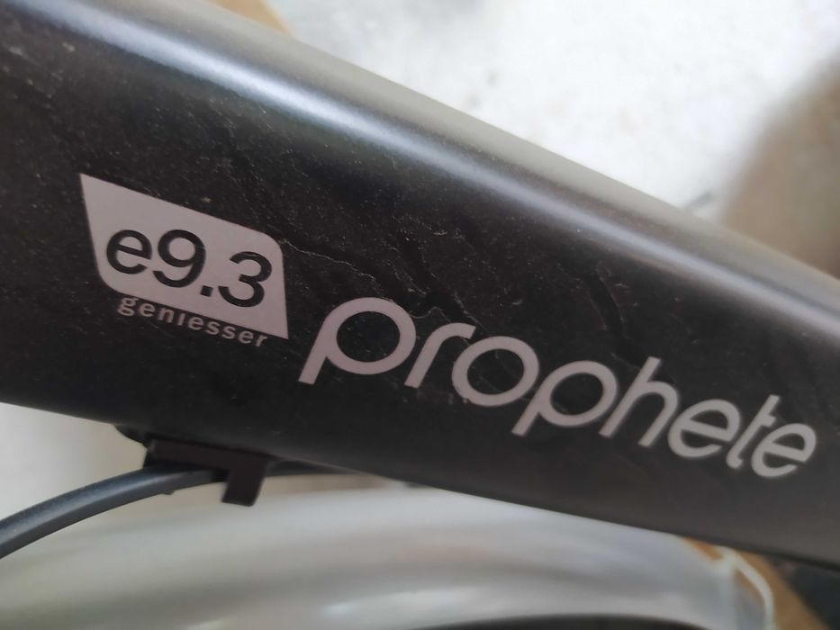 ROWER Elektryczny  PROPHETE e9,3 geniesser