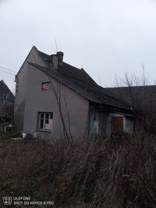 Dom wolnostojący
