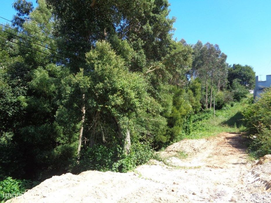 Terreno Urbano - Rio Meão