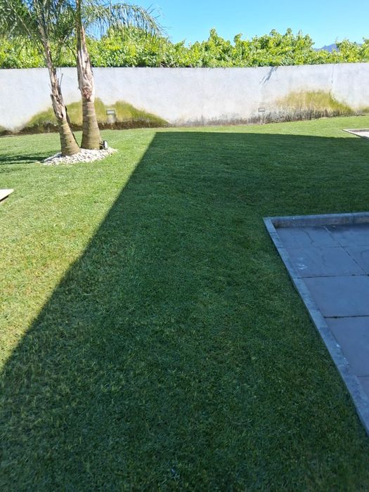 Jardineiro ao seu dispor