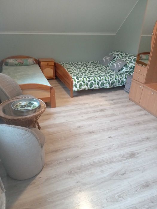 domek górski strumień w Masywie Śnieżnika