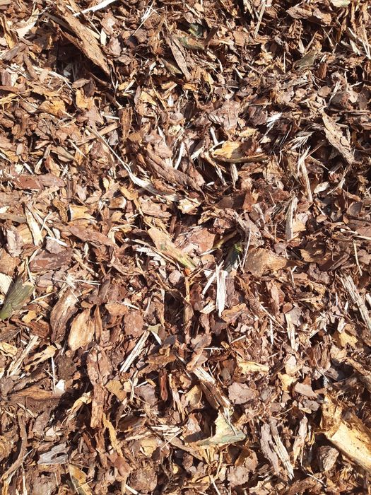 Kora sosnowa swieża pachnąca 80l worek 15zl