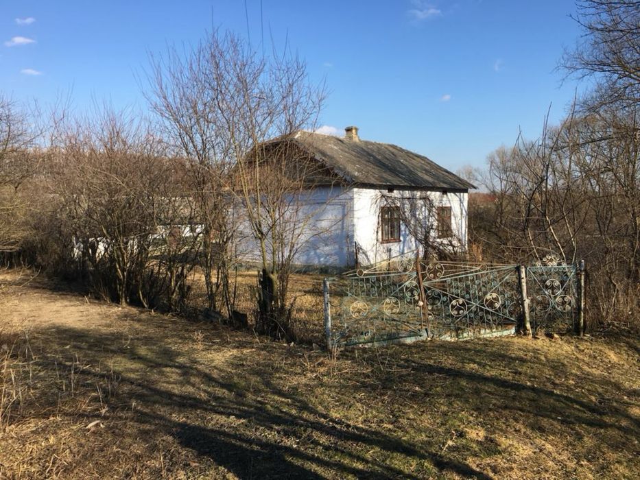 Будинок з земельною ділянкою