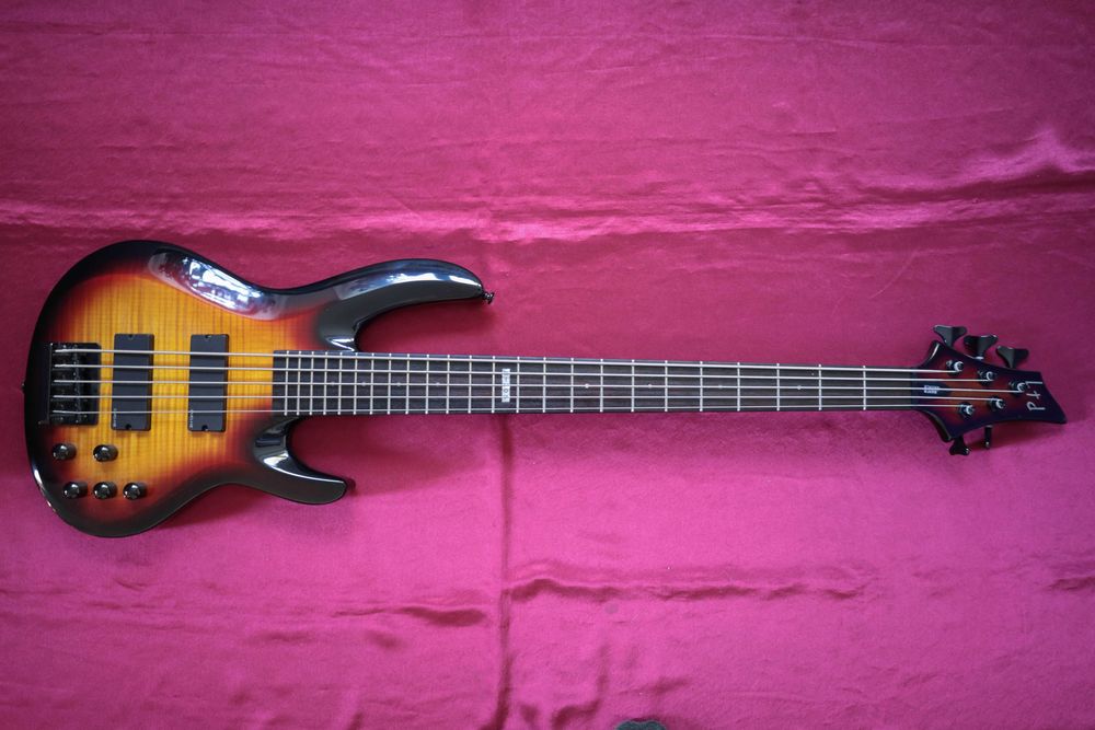 ESP LTD B305 із кейсом