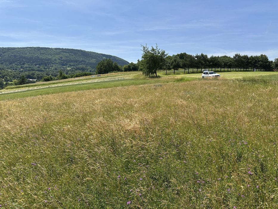 Działka widokowa budowlana 0,30ha