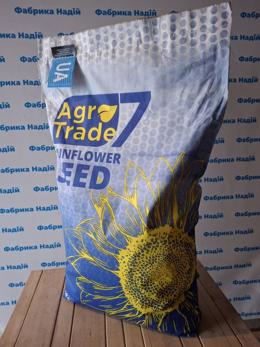 Каскара 2025 рік насіння соняшника під гранстар