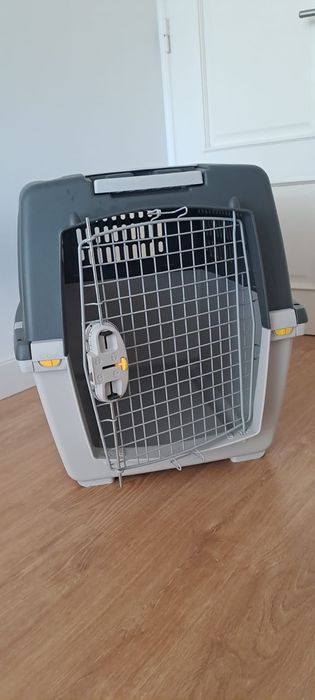 Acessórios para cães