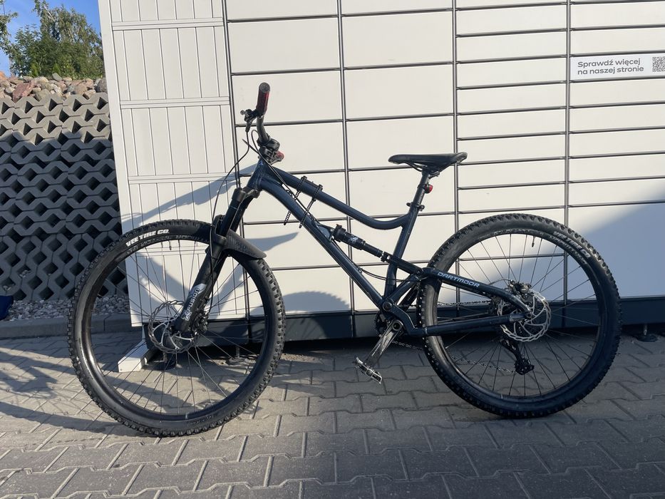 Dartmoor bluebird intro mullet