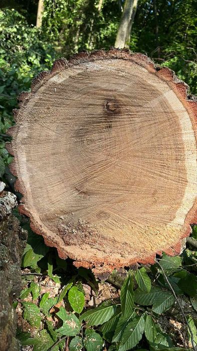 Доставка піску,щебня,відсіву,землі 5 кубів зил також доставка дров