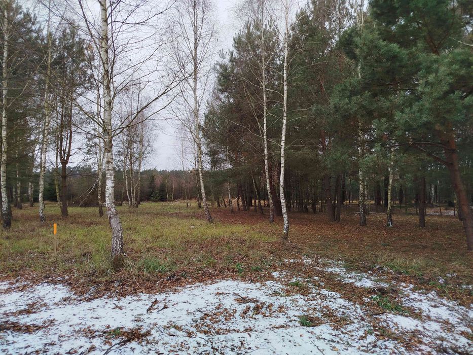 Sprzedam działkę rolno -rekreacyjna 3002m2