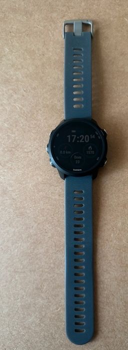 Garmin Forerunner 24564585320825217122