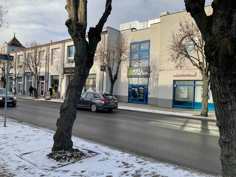 Zdjęcie 6