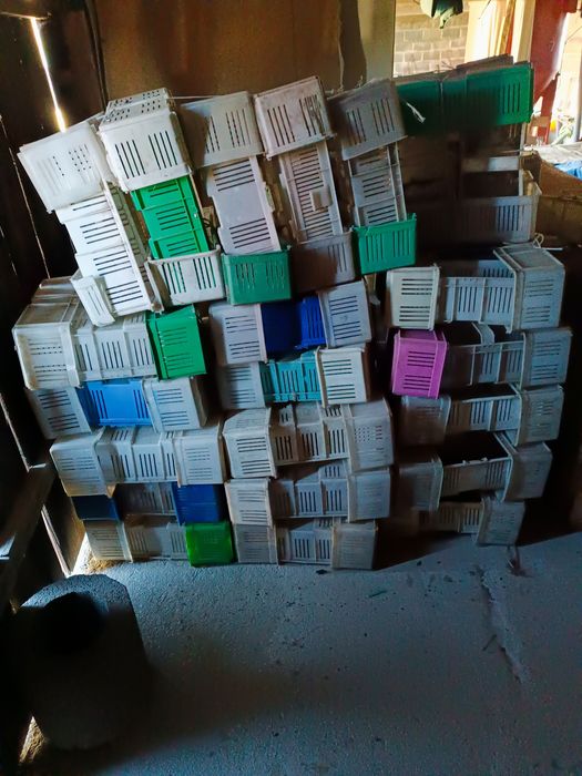 Koszyczki Łubianki na truskawki plastikowe