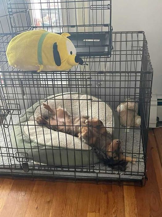 Клітка для собак ВСІ РОЗМІРИ, клетка переноска вольер для собак Польша