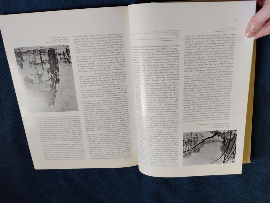 Alfred Sislej. Album o malarstwie