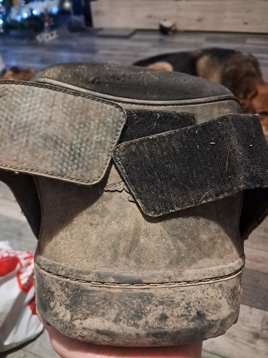 Buty dla konia duży rozmiar