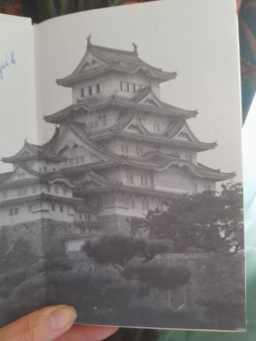 книга Практика феншуй, нюанс