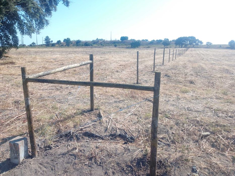 Vedaçoes e limpeza de terrenos