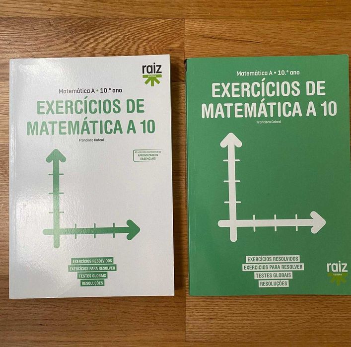 Livros de estudo de 10º ano (Português, Matemática e Física e Química)