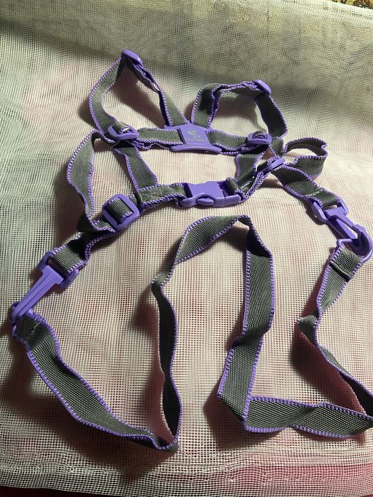 Віжки Baby Walk Safety  Harneess  Lorelli 6м+