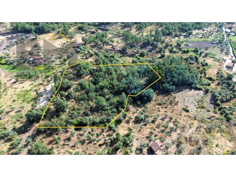 Terreno rustico com 9.320m2 para venda próximo ao Salgueiro do Campo!