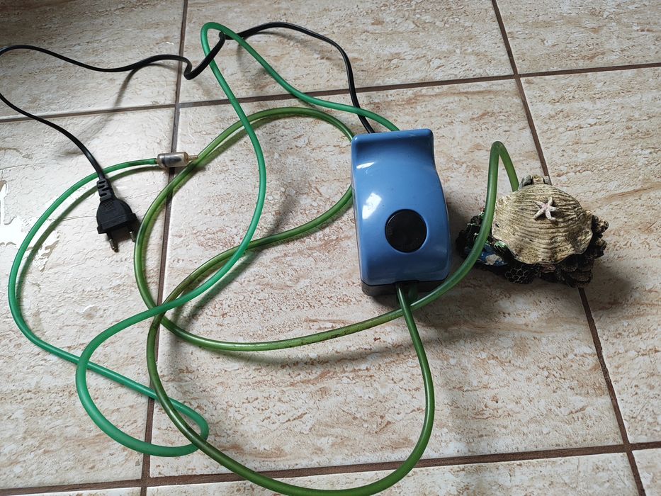 Akwarium z akcesoriami