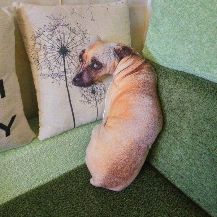 М'яка подушка собака 3D