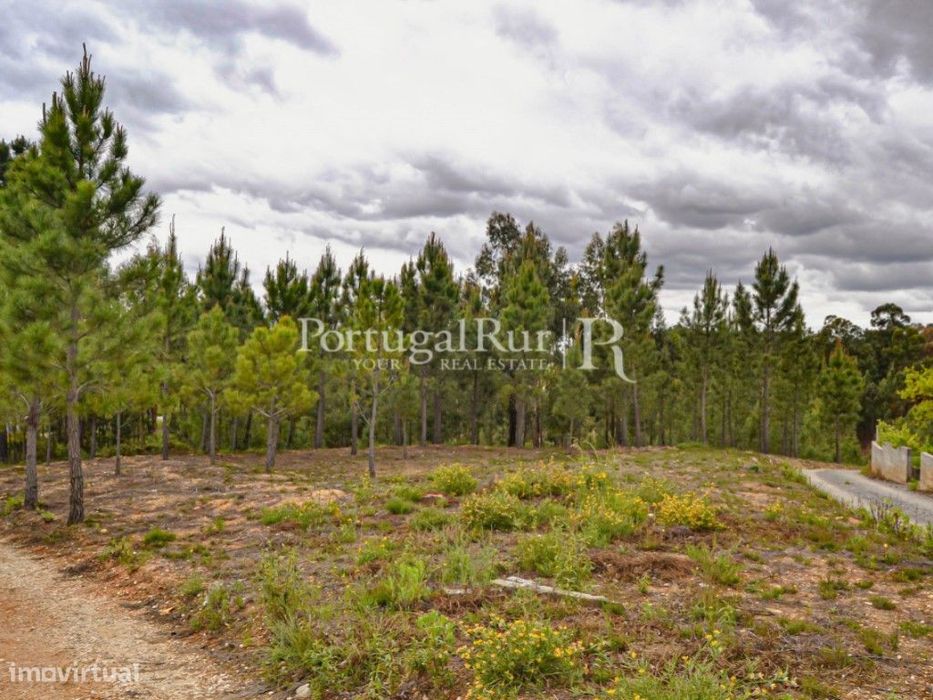 Lote Urbano de 1.340 m2 para Construção de Moradia