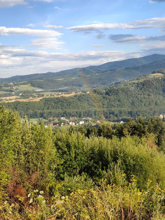 Działka budowlana z widokiem na Pieniny i Dunajec – Jazowsko