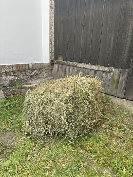 Siano i słoma w kostkach