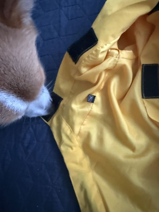 Дощовик для собаки xl-long